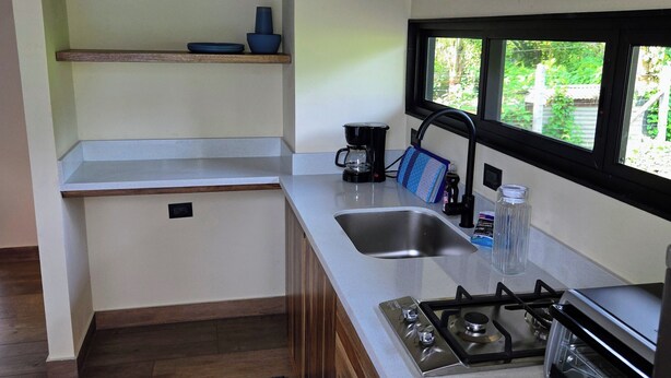 Een moderne keuken met houten kasten, een ingebouwd gasfornuis, een roestvrijstalen spoelbak en een raam met uitzicht op groen.