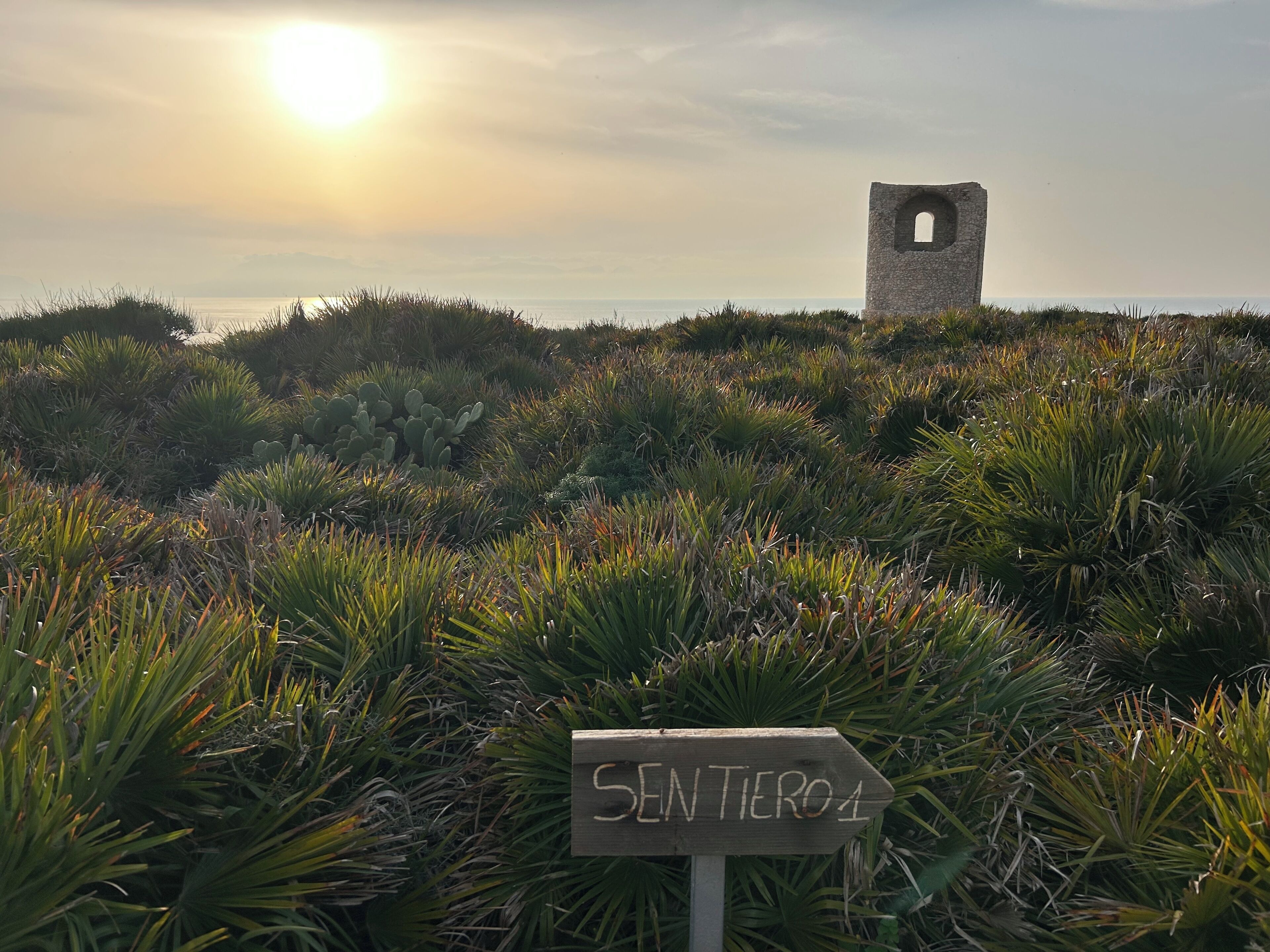 A signpost with 'SENTIERO4' written on it, surrounded by vegetation and a stone structure in the background.