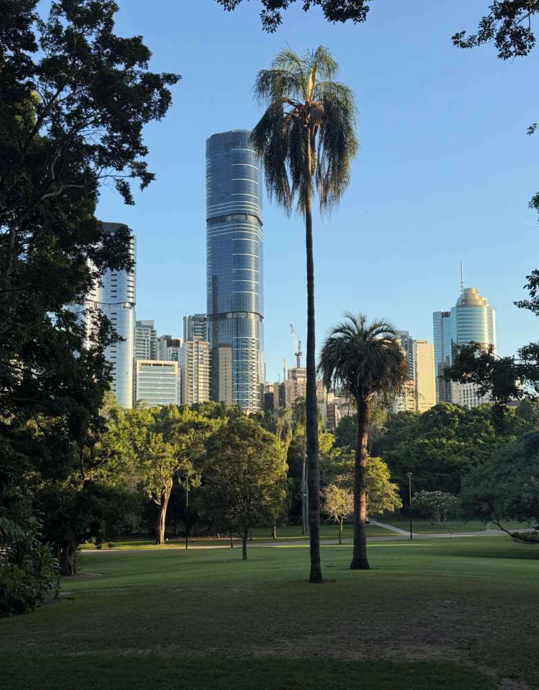 A park with a tall palm tree and a city skyline in the background.
