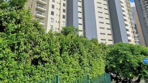 A high-rise building with multiple floors, balconies, and a clear sky. - Spectacular! 2bed, 1bath, 1car, Views ~ CBD (Brisbane)