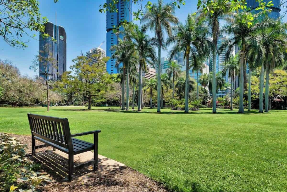 Un parc avec un banc, des palmiers et, au loin, des bâtiments modernes.