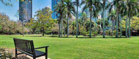 Un parque con un banco, palmeras y edificios modernos al fondo.