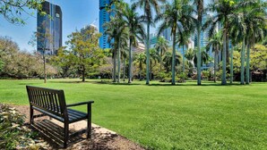 Ein Park mit einer Bank, Palmen und modernen Gebäuden im Hintergrund.