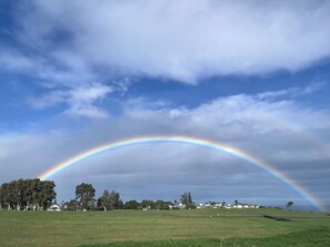 A landscape with a rainbow, houses, and trees. - Beautiful Spacious Ocean and Mountain View Condo Kauai, Hawaii (Princeville)