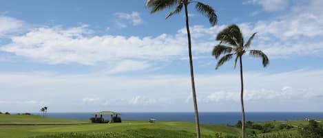A golf course with a pavilion, palm trees, and a view of the ocean.
