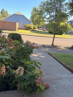 A residential driveway with a concrete path, a wooden fence, and a variety of flowering plants. - The Main Event: Theater • Hot Tub • GameDay Retreat • Near Autzen• Fi... (Eugene)