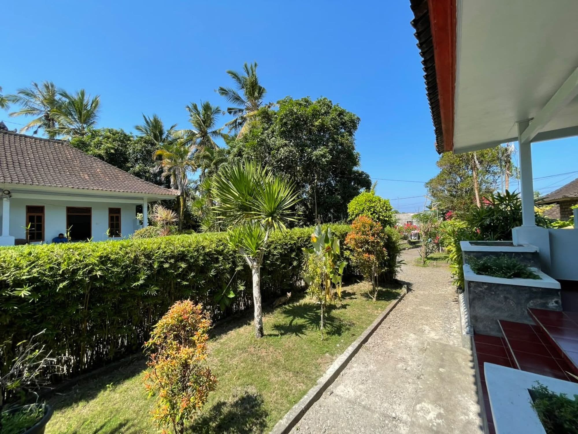 A residential area with a pathway leading to a house with a tiled roof.