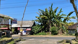 A street view with a hotel named 'SARI MANDALA' and a shop with a sign 'ERIA A A' offering a price of '15.000'. - OYO 95369 Hotel Sari Mandala (Negara)