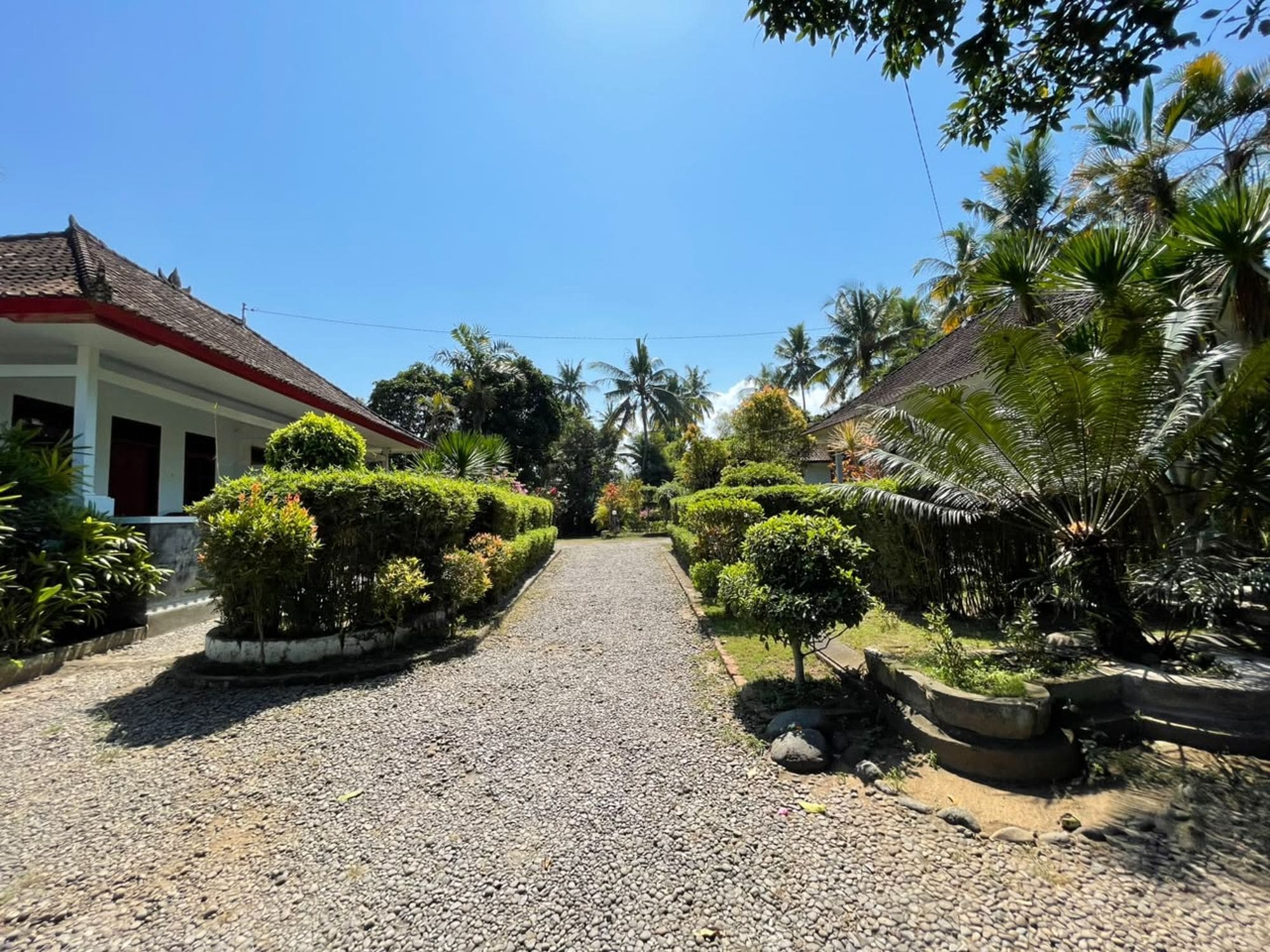 A gravel pathway leading to a building with a red roof, surrounded by well-maintained tropical vegetation.