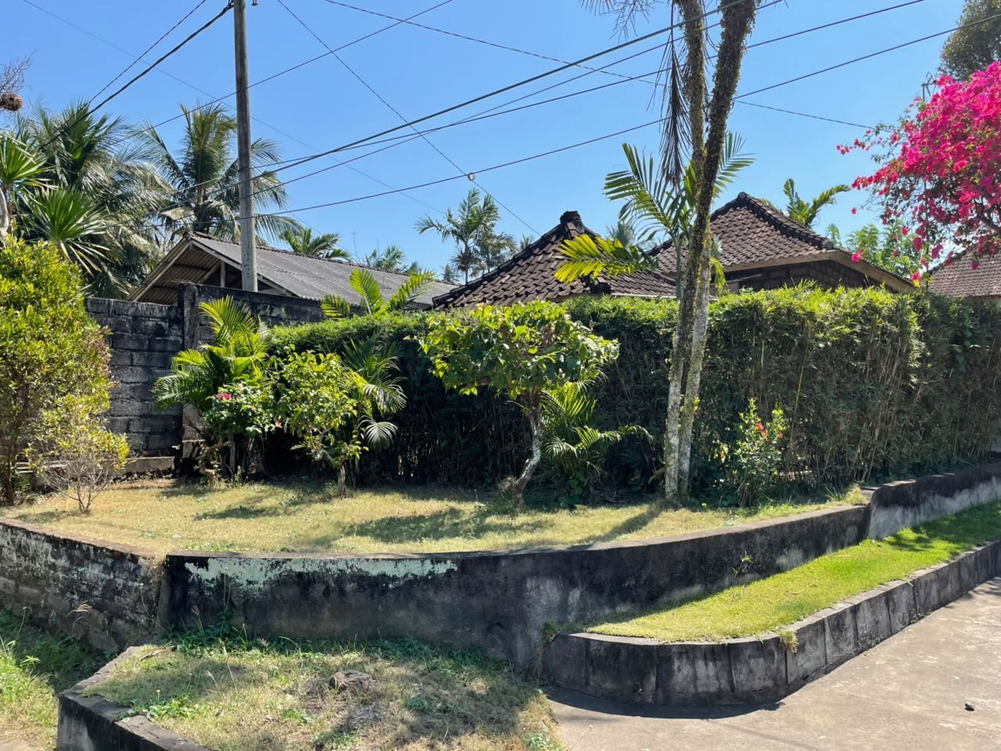 A residential area with houses, a stone wall, and lush greenery.