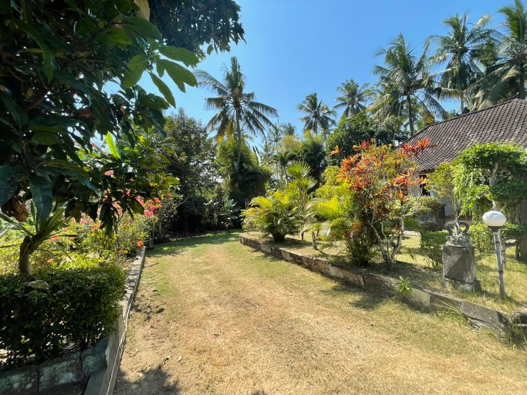 Un jardín con diversas plantas tropicales y un sendero que lleva a un edificio con techo de tejas.