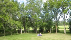 An outdoor area with a grassy lawn and trees.