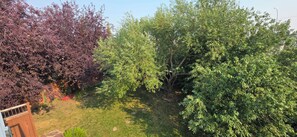 A garden with various trees and a lawn. - Cozy 4BR Retreat | Entire House | King Bed | Airport | Ring Road | Games | Banff (Calgary)