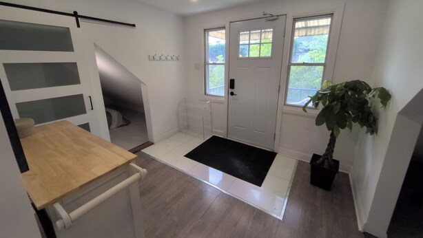 A hallway with a white door, a black mat, and a potted plant.