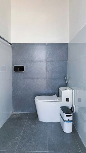 Haartrockner, Bidet, Handtücher, Seife