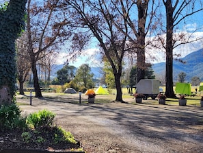 Family Cabin | Property grounds - Tasman Holiday Parks Mount Beauty (Tawonga South)