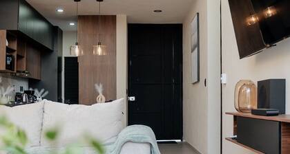 Modern house with a private garden and double-height ceiling in Comala