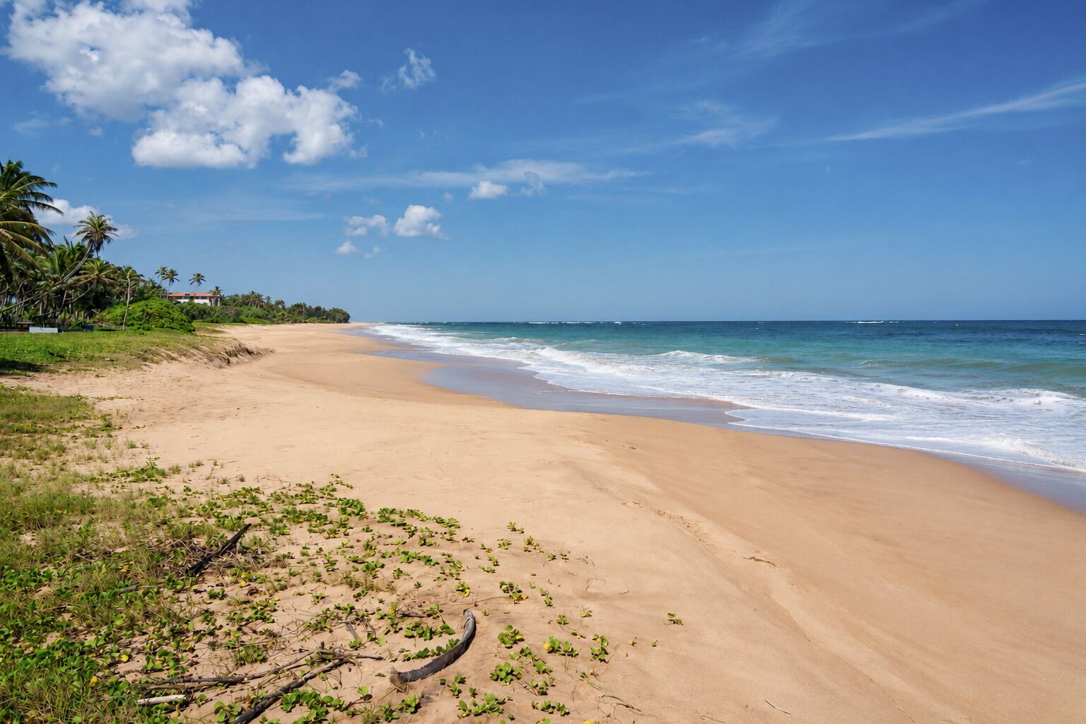 Playa
