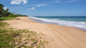 A beach with a clear sky, gentle waves, and sparse vegetation.