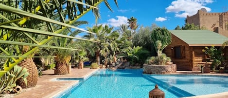 A swimming pool with a stone border, surrounded by various plants and a rustic building.