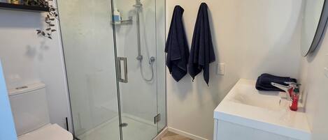A modern bathroom with a glass-enclosed shower, a white sink, and a toilet.