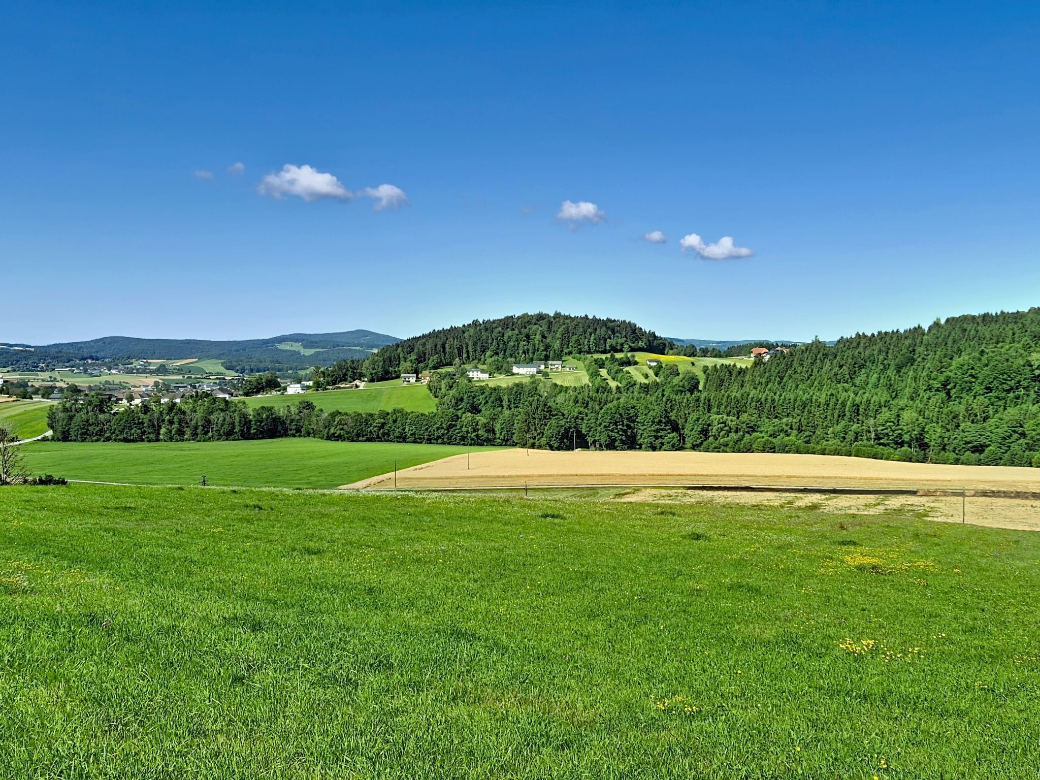 A rural landscape with green fields, a hill with trees, and a clear blue sky.