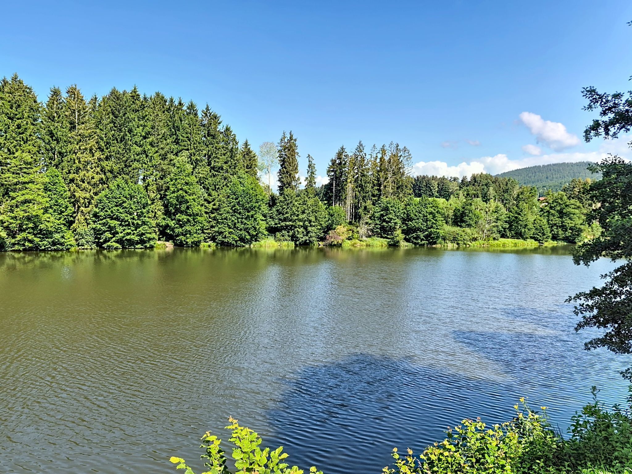 Un llac tranquil envoltat de bosc dens i un cel serè.