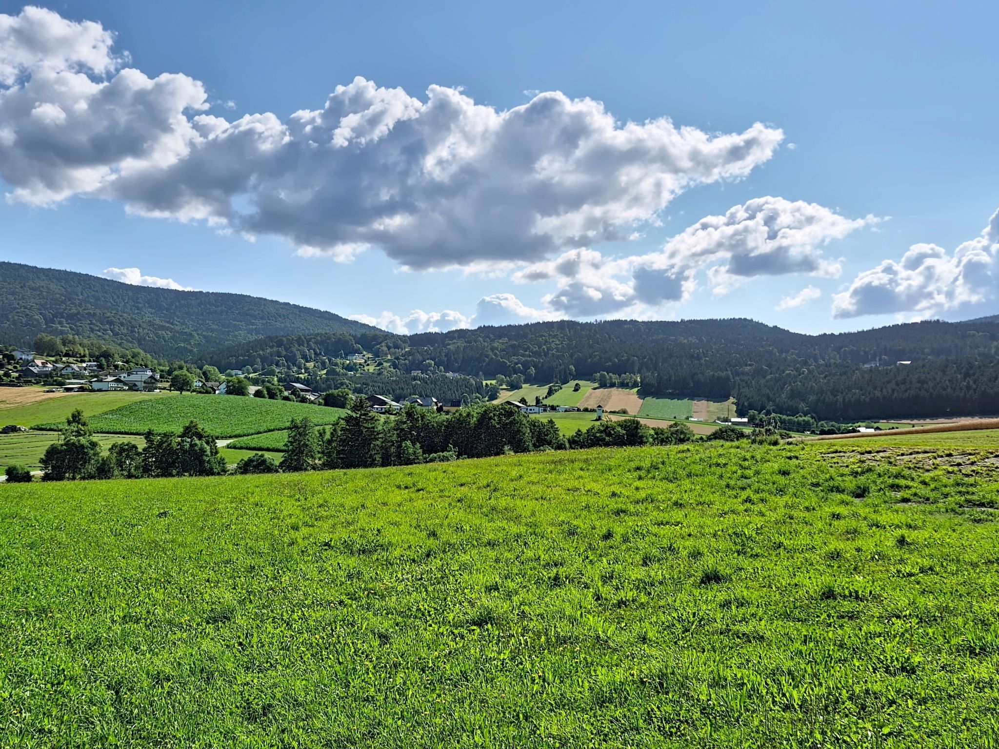 A rural landscape with green fields, scattered trees, and a mountain range in the background.