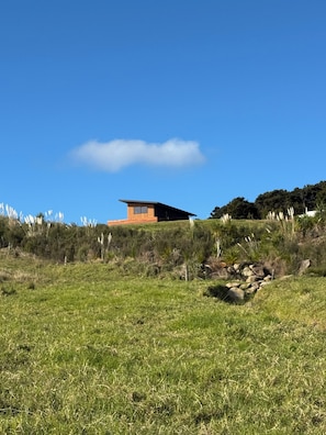 Une maison moderne avec un toit plat et une petite avancée, entourée d’un champ herbeux et d’une colline plantée d’arbres.