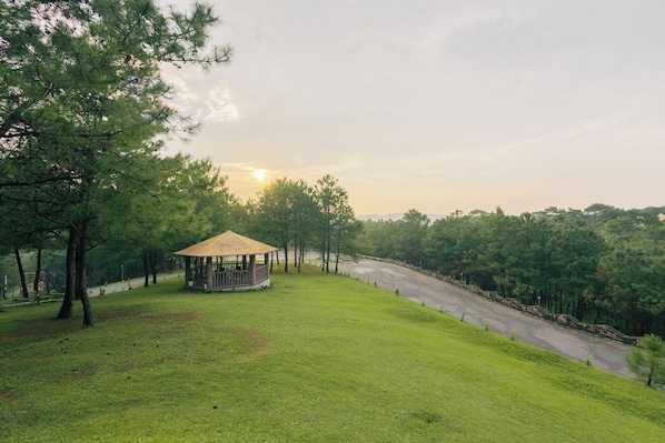 Khuôn viên nơi lưu trú