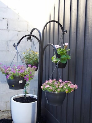 A white potted plant with hanging flower baskets against a grey fence. - Walk to MCG & Tennis | 3BR | 2 Bath | Cremorne (Cremorne)