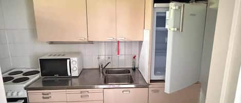 Double Room, Lake View | Private kitchen