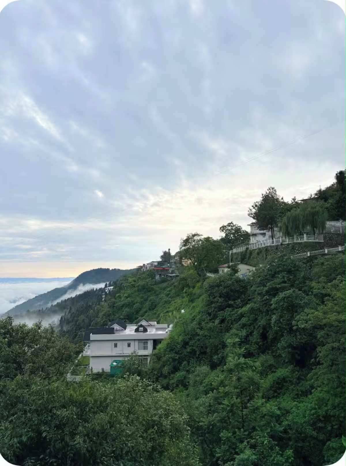 View from property