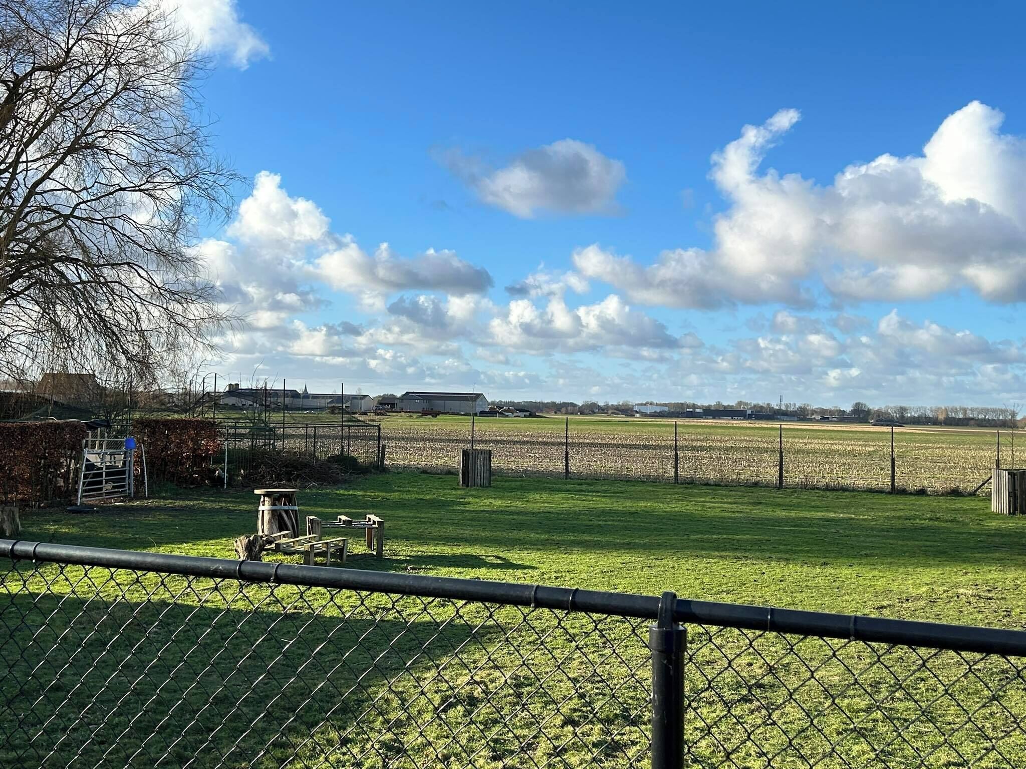 A fenced field with a clear sky and scattered clouds.