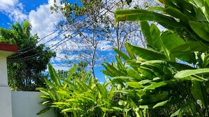 Piscina com borda azulejada, rodeada por vegetação exuberante e céu azul límpido.