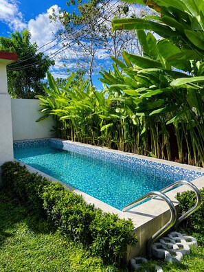 A swimming pool with a tiled edge, surrounded by lush greenery and a clear blue sky.