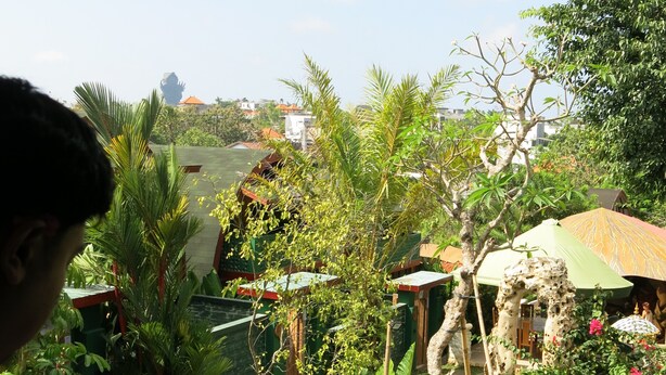 Uma pessoa usando um laptop com vista para um jardim e um prédio ao fundo.
