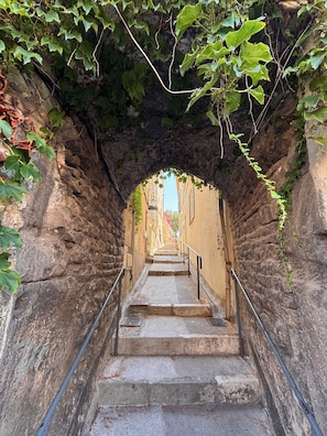 Property grounds - The Cap d'Antibes Pavilion (Antibes)
