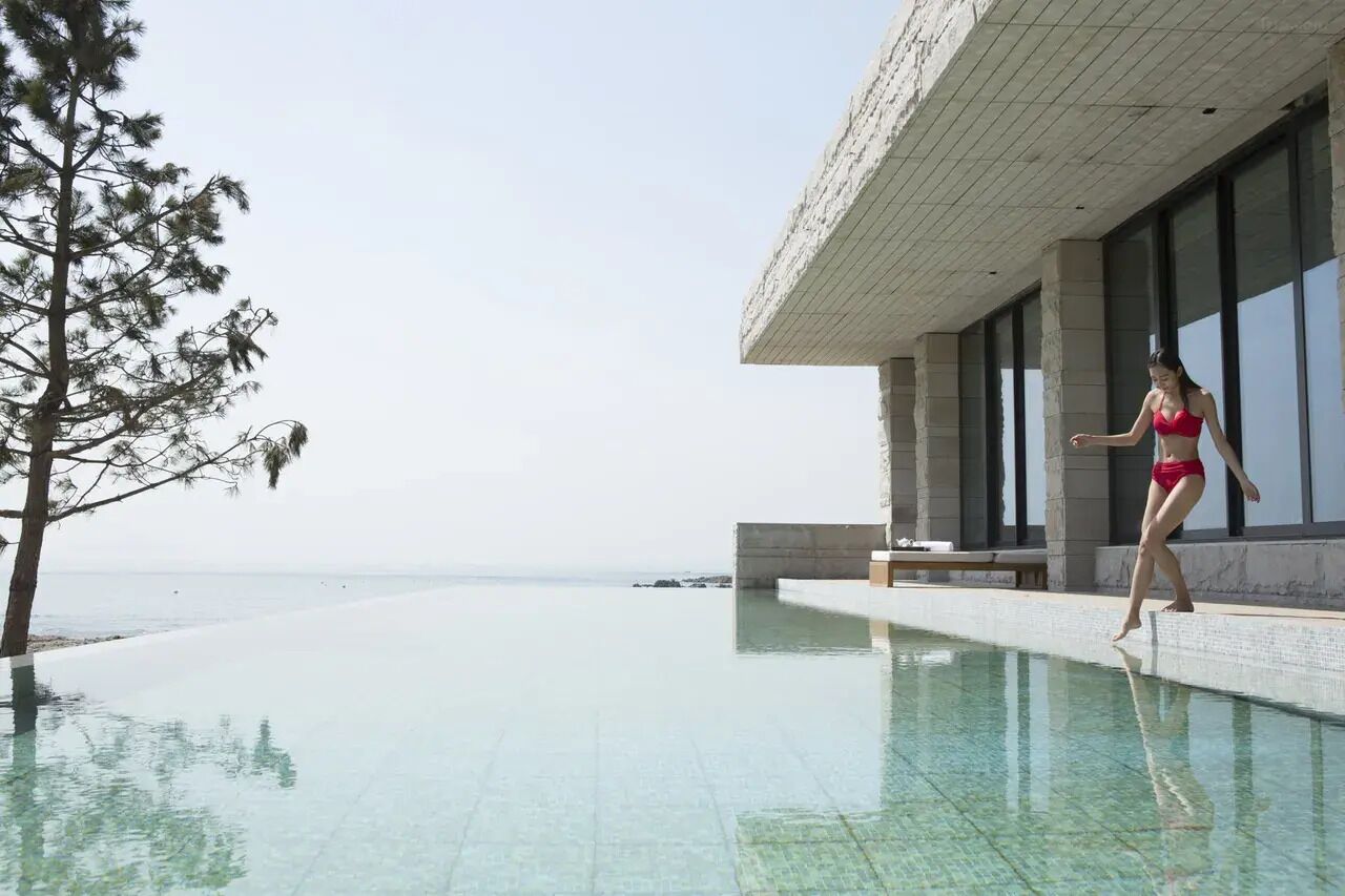 A swimming pool with a clear view of the sea, a modern building with large windows, and a tree beside the pool.