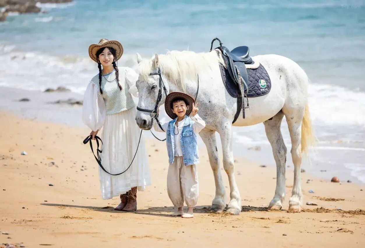 A beach scene with a white horse and two people, one holding a rope.