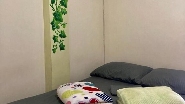 A single bed with two pillows, one grey and one green, in a room with a plain wall and a vertical green plant decoration. - Casa Del Pueblo, Room Esplendor (Jardín)
