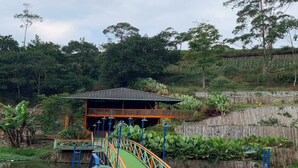 Un pont en bois avec une plateforme verte menant à un bâtiment doté d’un toit en pente.