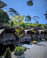 A series of tents with attached decks, surrounded by greenery and trees.