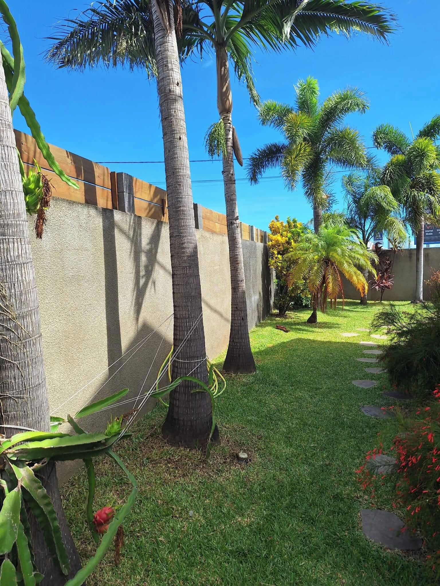 A garden with palm trees, a concrete wall, and a grassy area with a pathway.