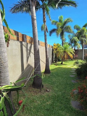 A garden with palm trees, a concrete wall, and a grassy area with a pathway. - Vacation Rental - Single-Family Home (Saint-Louis)