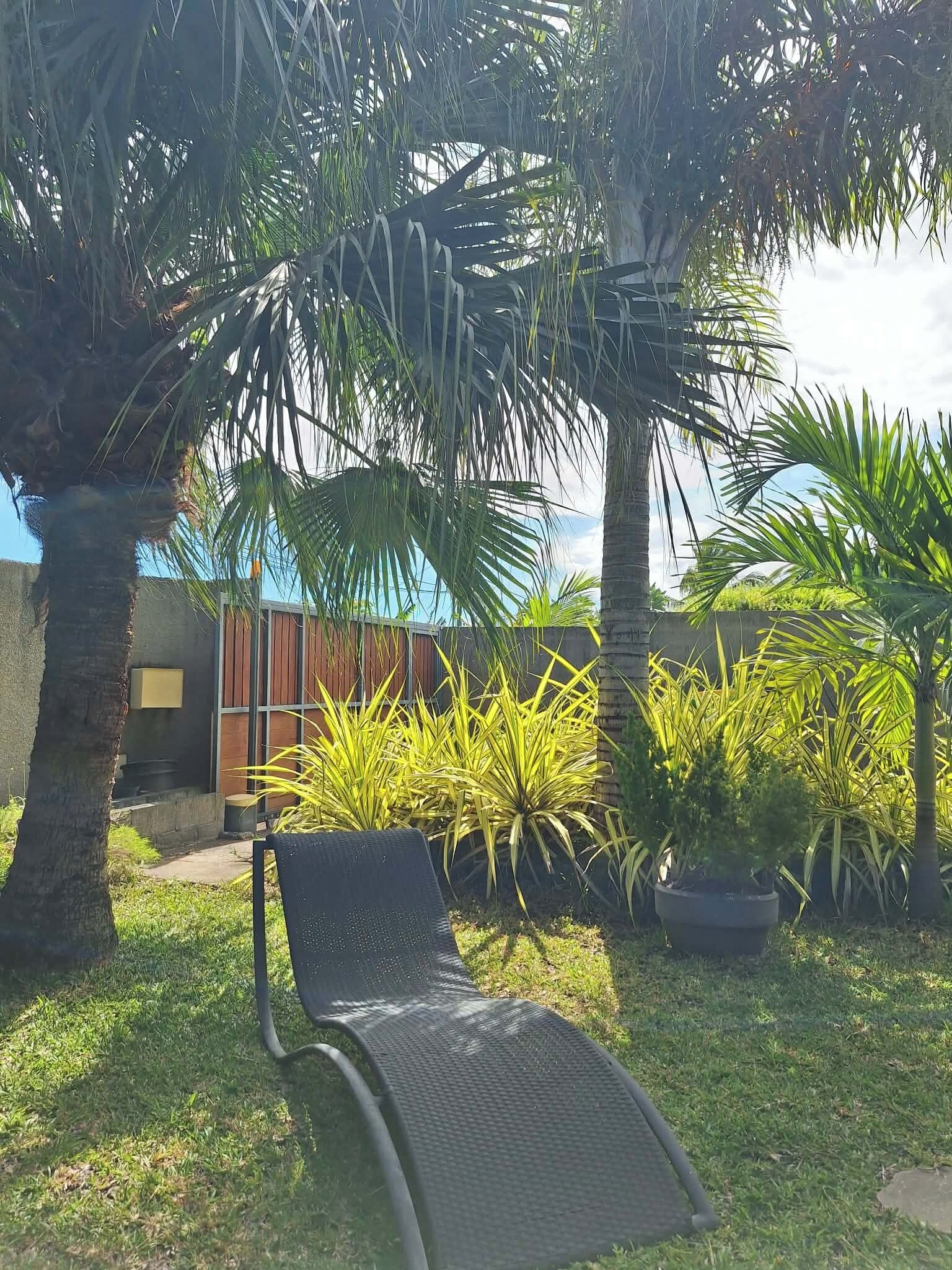 A garden with a lounge chair, palm trees, and a building in the background.