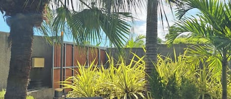 A garden with a lounge chair, palm trees, and a building in the background.