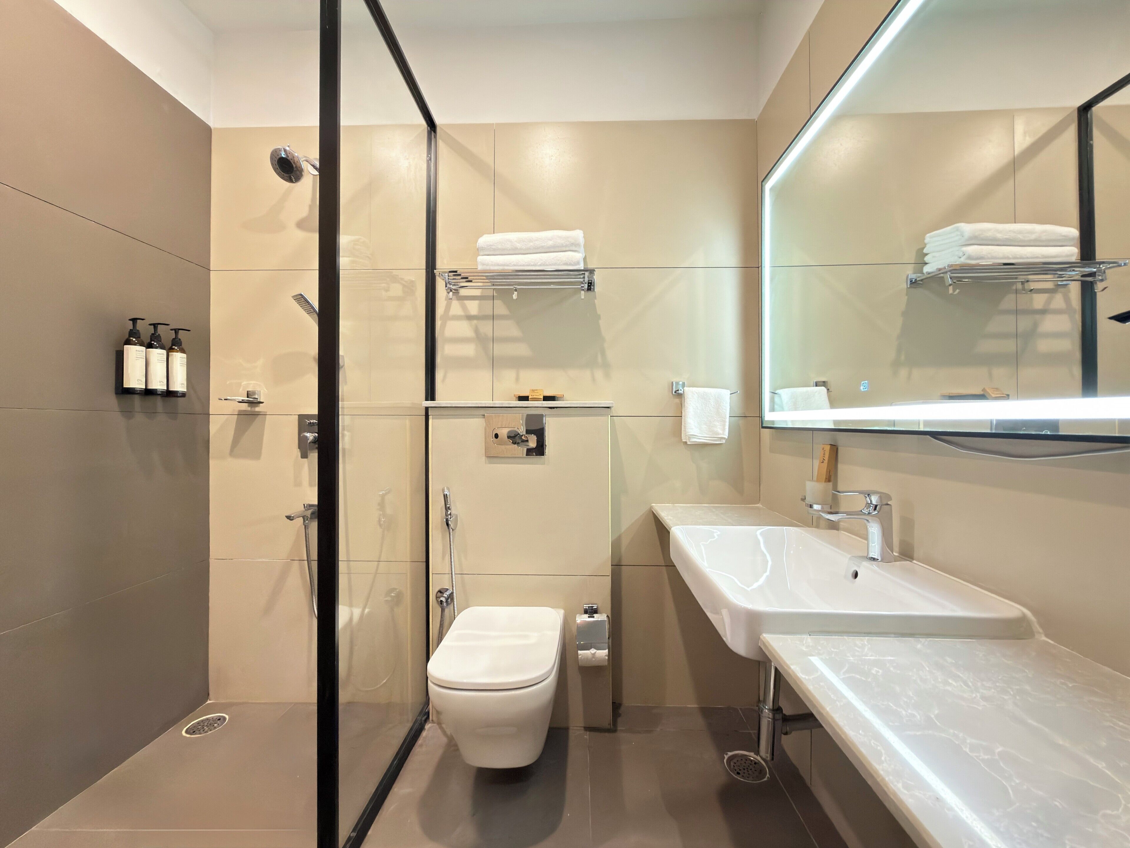 A modern bathroom with a glass-enclosed shower, a white toilet, and a large mirror above a white sink.