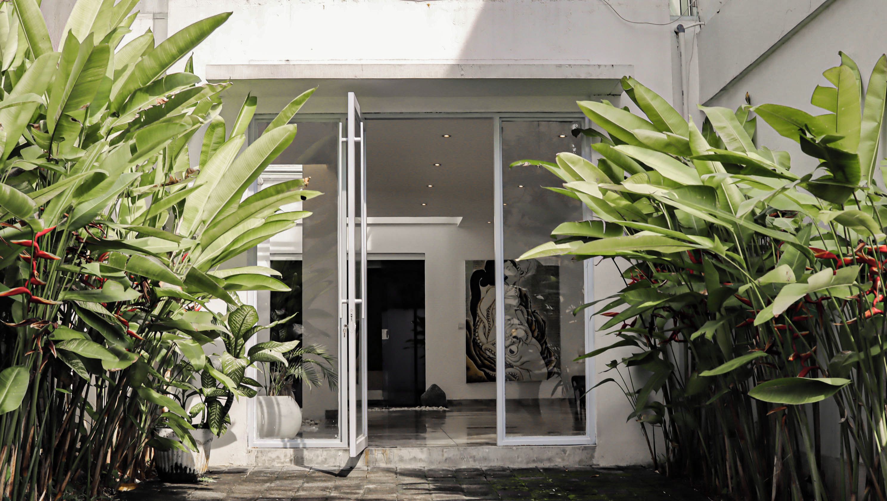 A modern building entrance with a glass door, surrounded by large green plants.