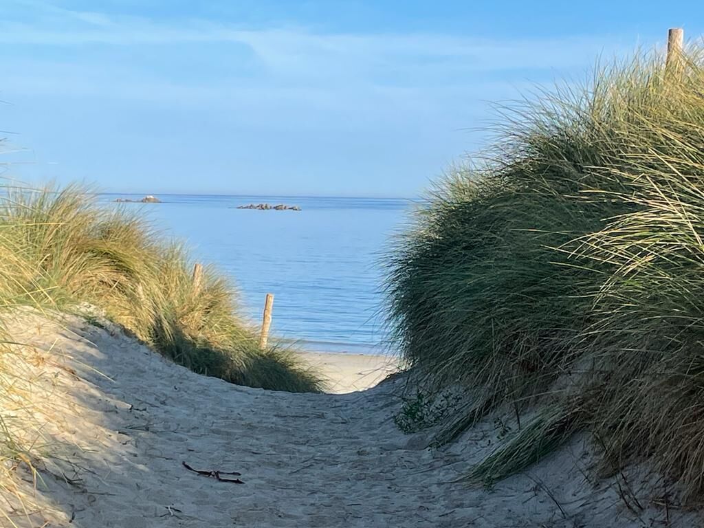 A sandy beach path leading to the sea with grassy dunes on either side.